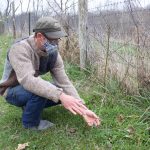 Solid Ground Farm is all about learning, connecting with nature A man points out plants growing on a farm.