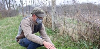 Solid Ground Farm is all about learning, connecting with nature A man points out plants growing on a farm.