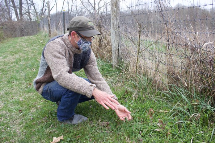 A man points out plants growing on a farm.