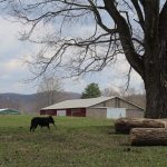West Virginia agritourism group forms to help farmers west virginia farm