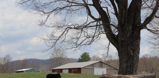 west virginia farm