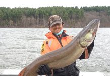 Ohio’s untapped fisheries trophy-size muskellunge
