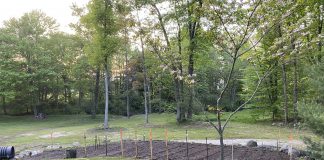 How to water your vegetable garden watered garden