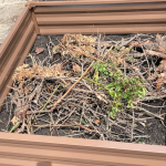 How to master the hugelkultur gardening technique Jordan's raised bed garden