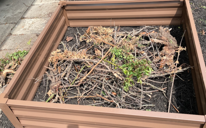 Jordan's raised bed garden Jordan's raised bed garden