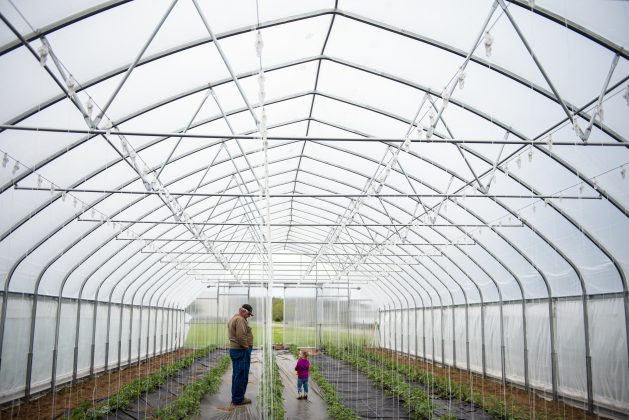 A man and his granddaughter stand in a greenhouse on a farm.