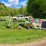 healthcare-struggles-2