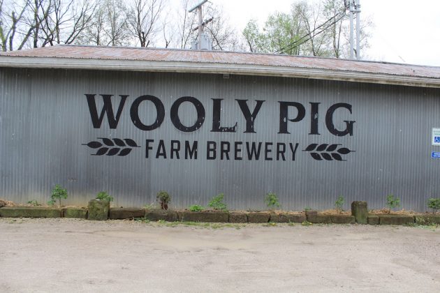 wooly pig farm brewery