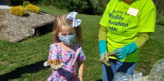 Milkweed Mud Pies program