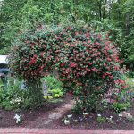 Enjoy the storybook setting of Beech Creek Botanical Garden Beech Creek Botanical Garden and Nature Preserve