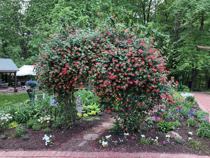 Beech Creek Botanical Garden and Nature Preserve Beech Creek Botanical Garden and Nature Preserve