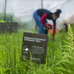 A woman gathers her things in the rain behind a sign for the Homewood Historical Community Farm, in Pittsburgh.
