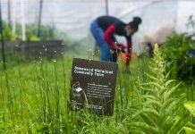 Cynthia Hayes Memorial Scholarship accepting applications A woman gathers her things in the rain behind a sign for the Homewood Historical Community Farm, in Pittsburgh.