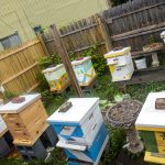 Homewood Historical Community Farm