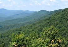 What Appalachia needs in the next farm bill appalachian mountains