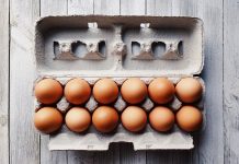 Homeschooled children follow directions literally eggs