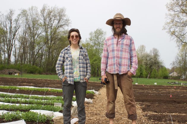 Two farmers stand in recently planted plots on their farm.