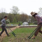 Partnerships, local connections keep Living City Farms growing Two farmers use broadforks to get their soil ready for planting.