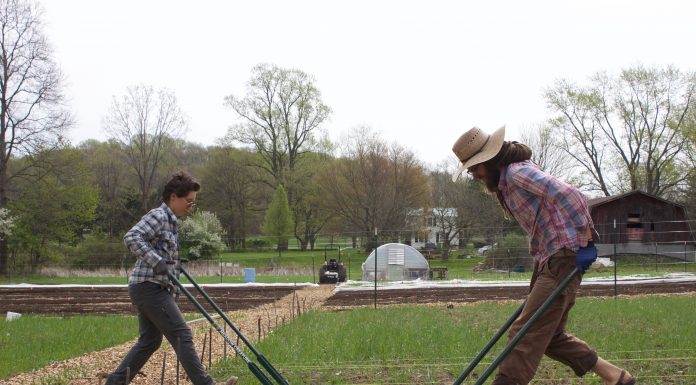 Partnerships, local connections keep Living City Farms growing Two farmers use broadforks to get their soil ready for planting.