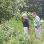 Let it bee: Salem, master gardeners make space for native pollinators A woman and a man look over plants in a pollinator garden.