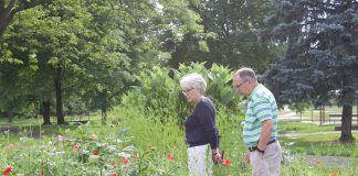 Let it bee: Salem, master gardeners make space for native pollinators A woman and a man look over plants in a pollinator garden.