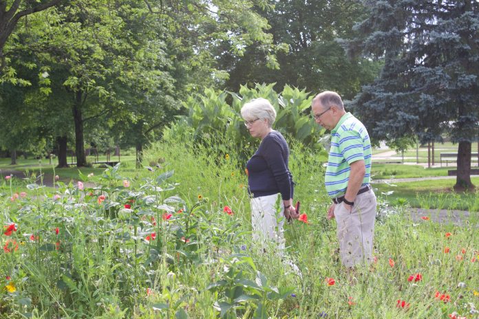 salem_bee_city_2 A woman and a man look over plants in a pollinator garden.