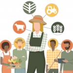 Knowing who knows: Beginning farmers need a strong network An illustration of multiple farmers.