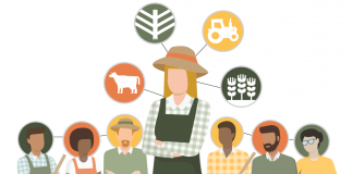 Knowing who knows: Beginning farmers need a strong network An illustration of multiple farmers.