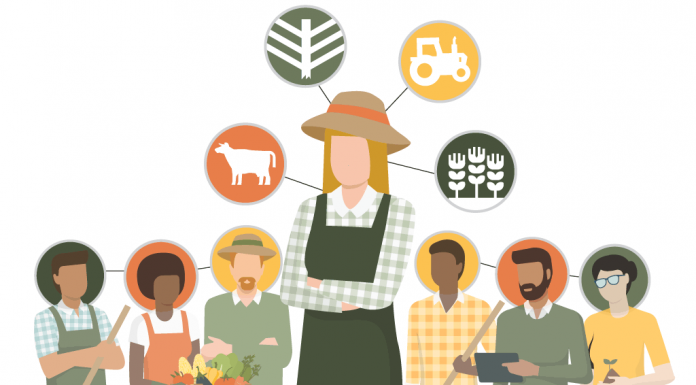 Knowing who knows: Beginning farmers need a strong network An illustration of multiple farmers.