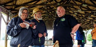 Fungi foray: Wild mushrooms are a key part of food chain Walt Sturgeon