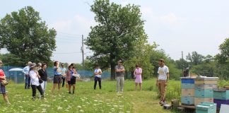 Pennsylvania urban agriculture grants open for applicants people looking at bee hives