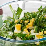 dandelion-salad