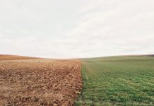 We’re rich enough to support both our poor and our farmers farmland