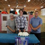 Grand champion rabbits