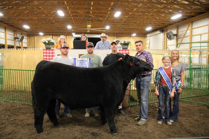 Sale Results Template (1).docx Grand champion steer
