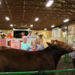 Reserve champion steer