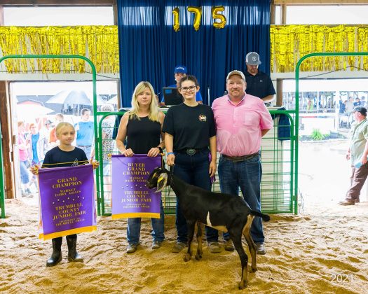 Grand Champion Dairy Goat