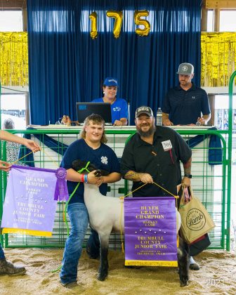Grand Champion Market Lamb