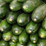 How to preserve an abundance of squash and zucchini zucchini