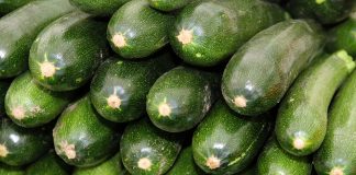 zucchini
