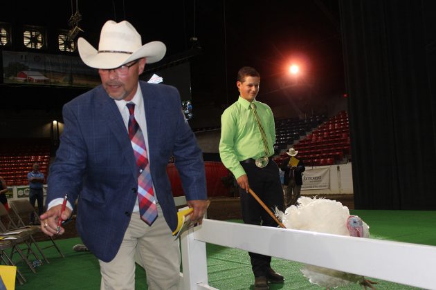 Grand Champion Market Turkey