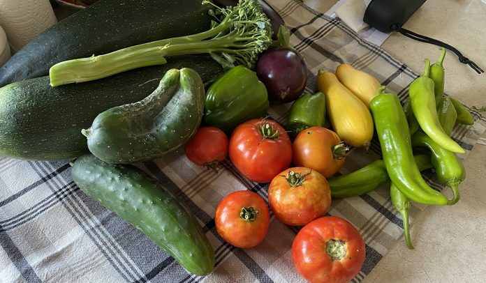 Garden produce