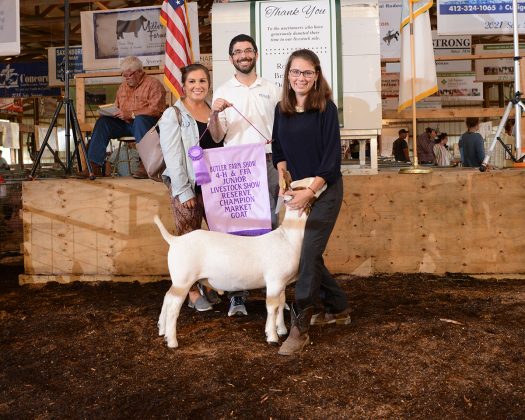 Reserve Champion Market Goat