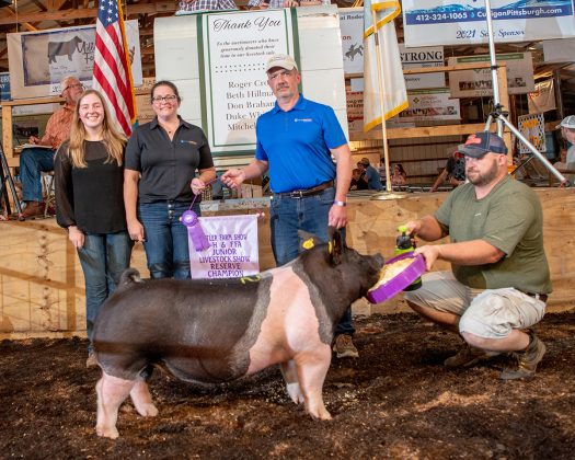 Reserve Champion Market Hog