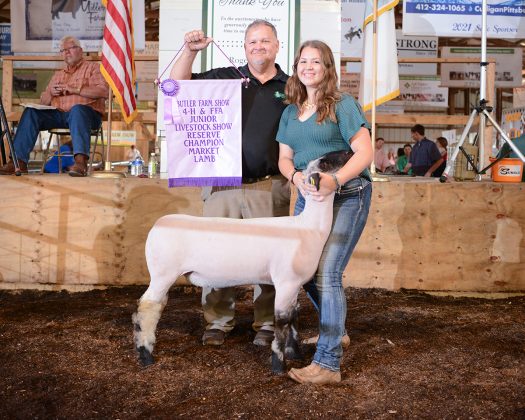 Reserve Champion Market Lamb