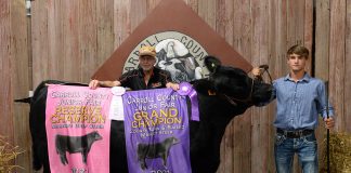 Reserve Champion Market Steer