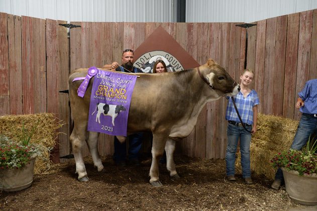 Grand Champion Dairy Beef Steer