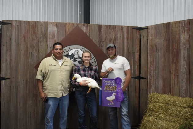 Grand Champion Market Ducks