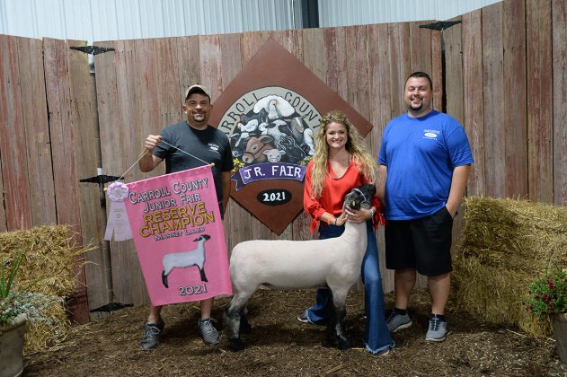 Reserve Champion Market Lamb