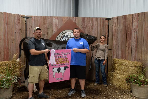 Reserve Champion Market Dairy Steer